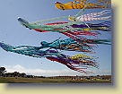 Saachi-Kite-Festival-Jul09 (21) * 3072 x 2304 * (2.83MB)